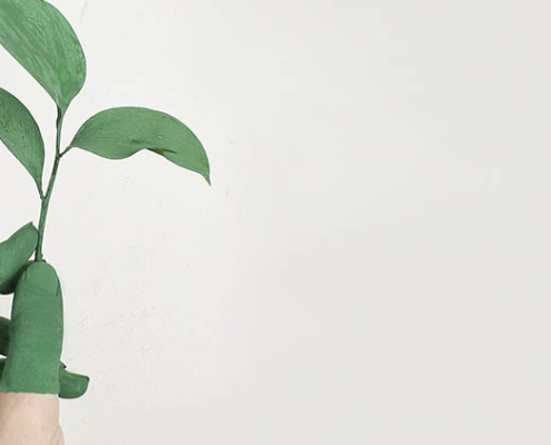 sustentabilidade